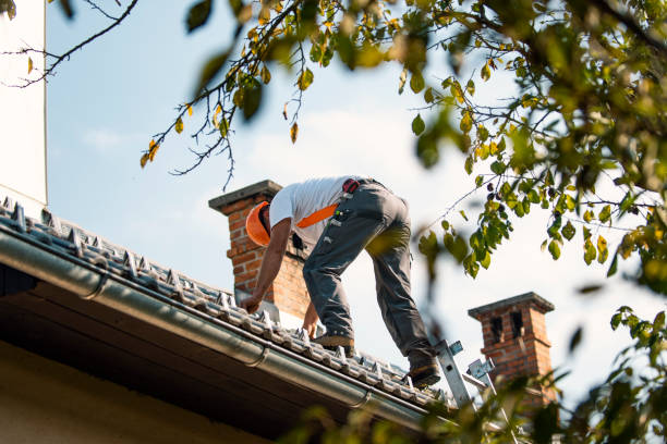 Best Roof Maintenance Services  in Connelly Springs, NC